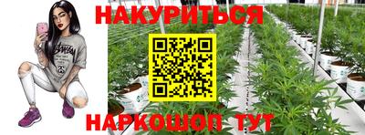 спиды Кингисепп