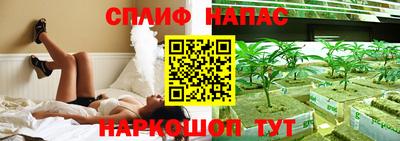 спиды Кингисепп