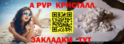 стаф Канаш