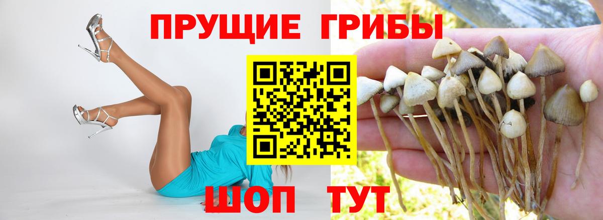 Галлюциногенные грибы MAGIC MUSHROOMS  Вход с VPN  Ярославль  сколько стоит  Псилоцибиновые грибы мицелий 
